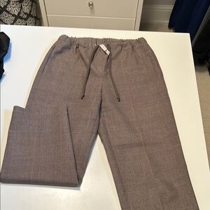 Aritzia - the Group by Babaton pull on drawstring  winter wear pants.